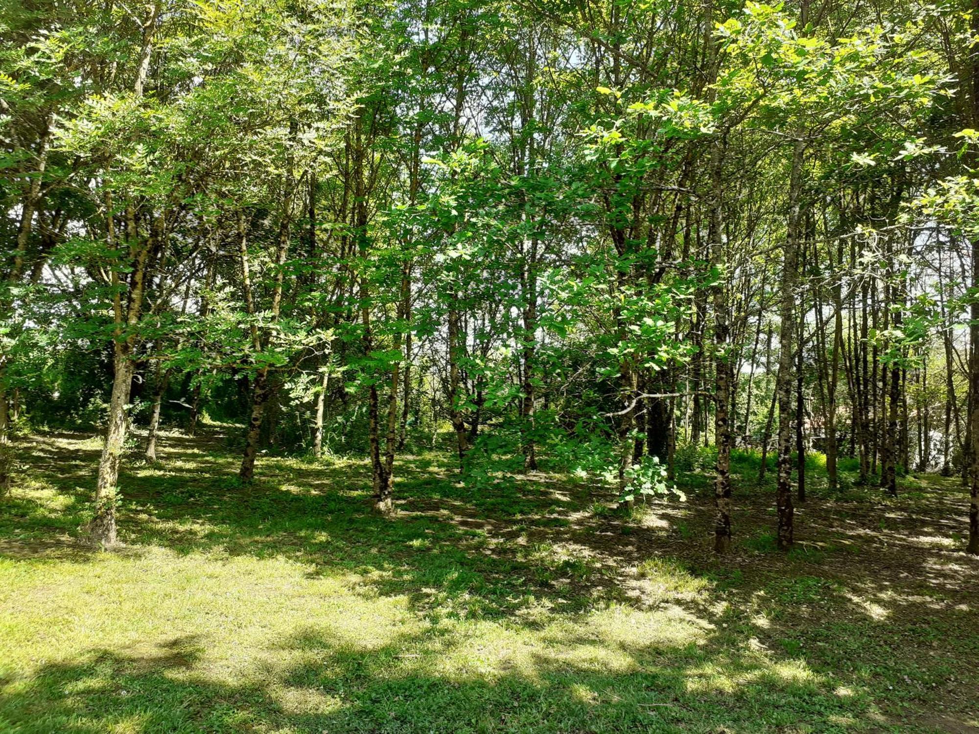 La Villa Le Petit Bois, Pres Rocamadour, Padirac Lavergne  Buitenkant foto